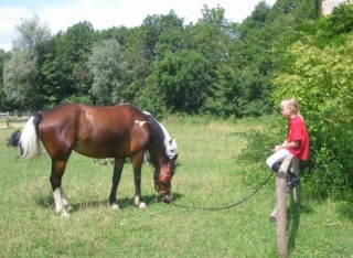 Settimane equestri per bambini e ragazzi.jpg